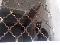 /album/fotogalerie/a23092009531-jpg/